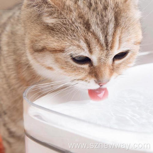 Xiaomi Mijia Smart Pet Water Dispenser Drinking Feeder